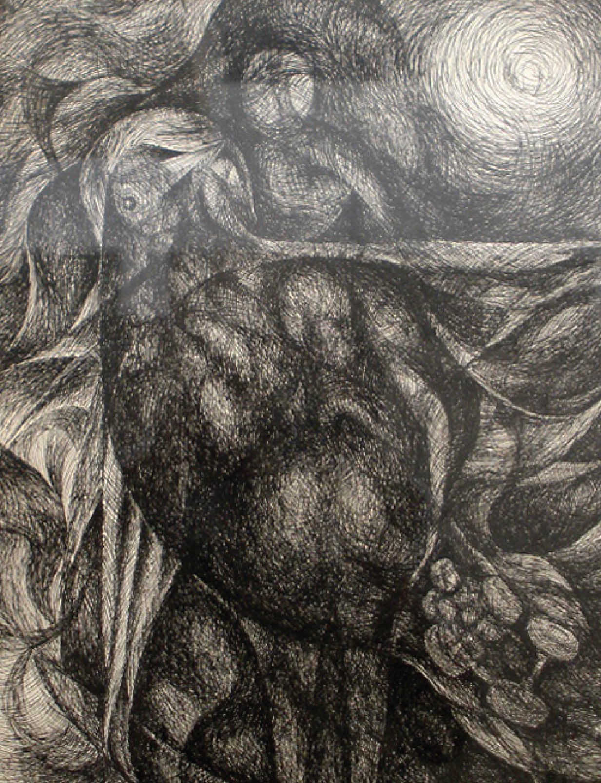 Pen & Ink Drawings